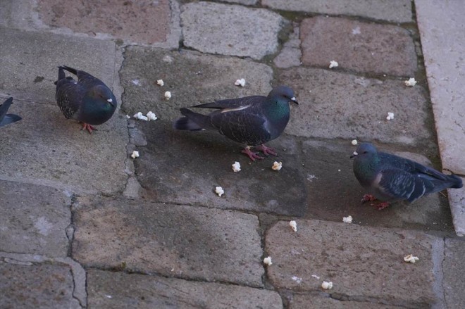 Thus Spoke Kishibe Rohan: At a Confessional